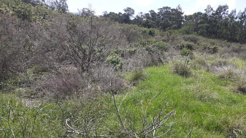 0 Bedroom Property for Sale in Albertinia Western Cape